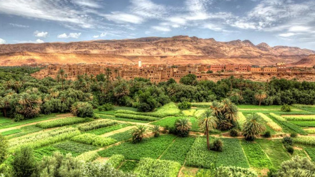 واحة تافيلالت الرشيدية