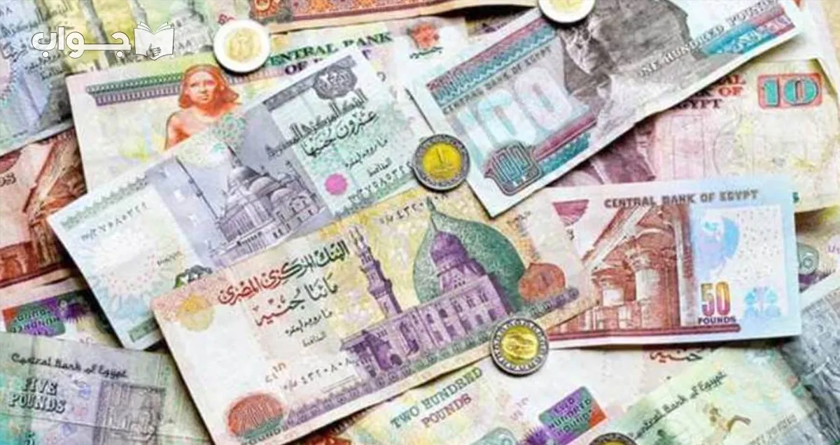 ما هي عملة مصر